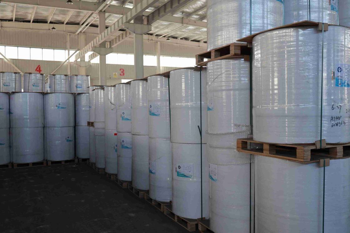 BPA Free Focus Brand Thermal Paper High Smoothness Suitable Optical Density 100% Imported Wood Pulp