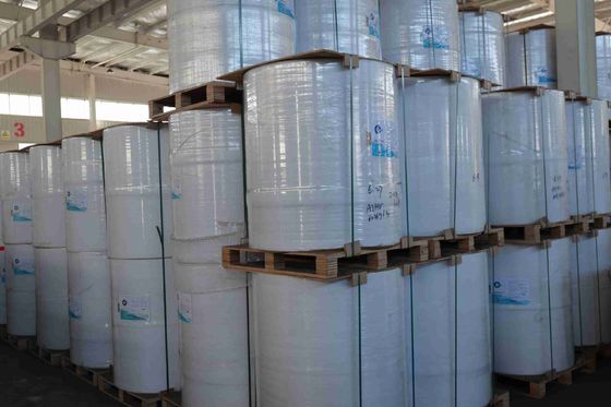 ১০০% আমদানি ভার্জিন কাঠের পল্প বিপিএ মুক্ত তাপীয় কাগজ উচ্চ মসৃণতা শক্তিশালী টেনশন দীর্ঘ ইমেজিং জীবন