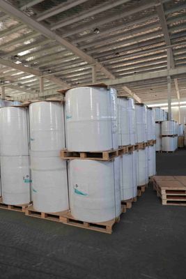 পিওএস রসিদের জন্য বিপিএ-মুক্ত থার্মাল পেপার রোল, এটিএম প্রিন্টার পেপার, তেল-প্রতিরোধী থার্মাল রোল – ৫+ বছরের ইমেজ লাইফ