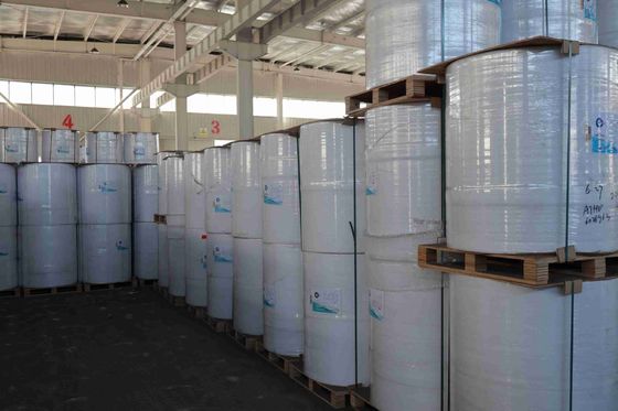 बीपीए मुक्त फोकस ब्रांड थर्मल पेपर उच्च चिकनाई उपयुक्त ऑप्टिकल घनत्व 100% आयातित लकड़ी का गूदा